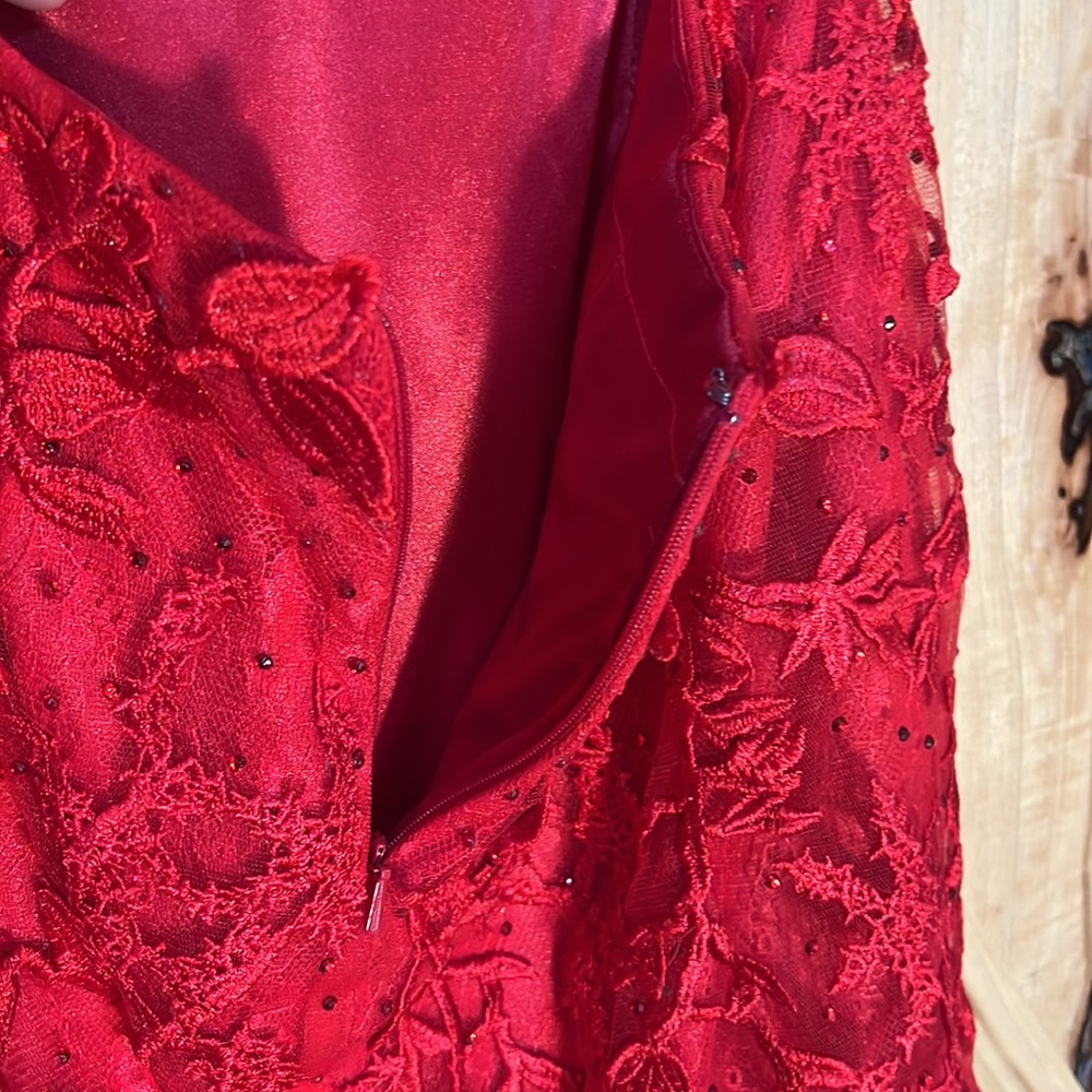Formal Red Dress - Picture 10 of 11